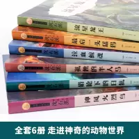 沈石溪动物小说系列全集正版经典珍藏版全套6册 小学生课外阅读书籍三四年级五六年级必读的读物单本 儿童文学故事书9一12岁