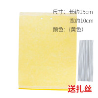 黄板双面诱虫板大棚蓝板蓟马果树果园家用室内沾虫小黑飞 黄板 15cm×10cm 20张