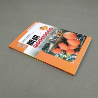 图说脐橙优质高效栽培技术 脐橙果树栽培种植技术大全业基础科学专业科技 脐橙病虫害防治技术果园生产管理技术书籍