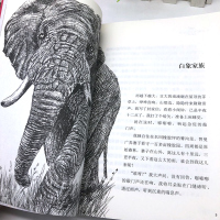 白象家族 沈石溪动物小说大王品藏书系/四五六年级中小学生课外读物/浙江少儿社/全套集系列完整升级版/正版