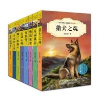 中外动物小说精品升级版第二辑套装全8册 猎犬之魂霞谷山鹰绝境血狼 沈石溪动物小说全套集6-7-8-9-10-12-15岁