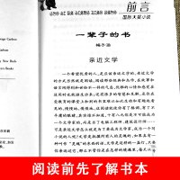 桥下一家人(升级版)/国际大奖小说 三四五六年级中小学生课外小说文学阅读读物 7-10-12岁青少年少儿童故事图书籍 新