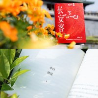 长安客书北溟鱼正版 大唐版人类群星闪耀时 李白杜甫王维白居易元稹柳宗元刘禹锡李商隐诗国闪耀的群星 长安城里忧伤的年轻人