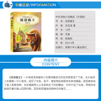 正版 流浪猫王 中外动物小说精品升级版非注音 沈石溪著 7-8-9-12周岁儿童文学三四五六年级小学生课外书籍安徽少年儿