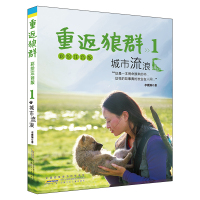 重返狼群彩绘注音版全套3册城市流浪 李微漪著电影原著 小说图书籍 儿童文学动物小说 10-12-14-18岁课外书青少年