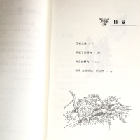 孤岛野犬 正版书 椋鸠十动物小说全集爱藏版单本 儿童文学三四五六年级 小学生阅读课外阅读书籍 21二十一世纪出版社