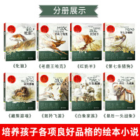 沈石溪画本全套8册动物小说全集最后一头战象第七条猎狗斑羚飞渡白象家族 6-8-12岁三四五六年级小学生课外阅读儿童文学书