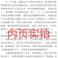 最后一头战象 沈石溪的书六年级正版动物小说品藏书系单本书全集浙江少年儿童出版社小学生课外阅读书籍6年级初中生经典长篇
