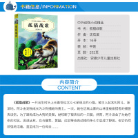 正版 孤猫战歌 中外动物小说精品升级版 沈石溪经典动物小说系列 7-14岁儿童文学读物三四五年级小学生课外阅读书籍动物小