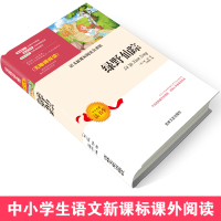 绿野仙踪正版书三年级四年级阅读课外书读老师推荐经典书目9-12岁少儿阅读经典童话故事书青少年小学生4-6年级儿童文学书籍