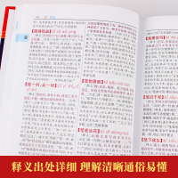成语大词典彩色本 双色本2020正版全新修订版 中华新华成语词典大全商务印书馆正版多功能字典中学生小学生版专用汉字工具书