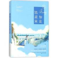 知是清晨来(上下) 晋江人气作者容光甜宠治愈之作 一线战地记者与自由摄影师的浪漫异国之恋 现代言情小说书