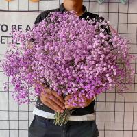 满天星超大束鲜花花束家居客厅摆件小清新真花勿忘我生日干花论斤 进口紫色满天星 半斤(送灯串)