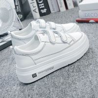 魔术贴小白鞋女夏2021新款韩版厚底增高休闲学生百搭网面透气板鞋 白黑色815 40