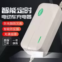 [自动断电]电动车充电器电瓶车三轮车48V60V20a72V20ah快充通用 全新旗舰款加长线48V12AH