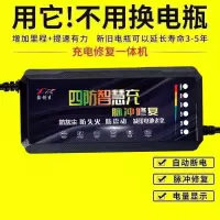 自动断电 两轮三轮电动车电瓶车充电器48V60V72V电瓶车充电器通用 48V12AH关机断电灭灯+质保5年