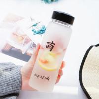 新款海洋韩版海鸥渐变磨砂玻璃杯创意男女学生清新可爱随手杯子 萌 单杯