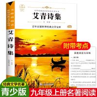 简爱儒林外史原著正版初中生九年级下册必读儒林外传简.爱完整版 艾青诗选