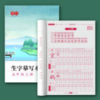 五年级上下册小学生练字帖人教版书法本生字临摹本练习本每日一练 五年级上册 语文同步字帖