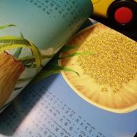 法布尔昆虫记彩图注音版小学生儿童注音版绘本6-12岁课外阅读书籍 10册精品推荐.(券后超低价)