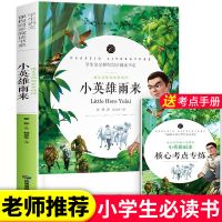 四年级下册必读课外书目全套4册宝葫芦的秘密青铜葵花小英雄雨来 小英雄雨来