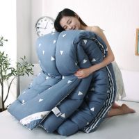 工厂批发冬季被子加厚保暖冬被春秋被学生被单人被双人被芯 魅力爱巢 1x1.5米小盖被