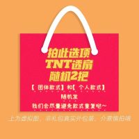 TNT时代少年团马嘉祺宋亚轩刘耀文丁程鑫严浩翔贺峻霖周边盲盒 TNT透扇盲盒(2把)