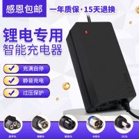 锂电池电动车充电器48V36V60V24V2A72V10A电车锂离子哈雷平衡车 卡农头 36V2A