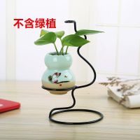 独家原创简约欧式陶瓷水培花瓶新款绿萝铜钱草花器装饰品摆件迷你 铁架配一个瓷器-C款葫芦青