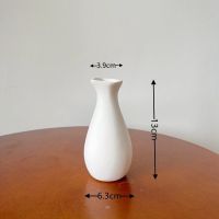 ins风素胚北欧陶瓷花瓶摆件客厅插花干花仿真花花器创意桌面摆饰[9月12日发完] 净瓶