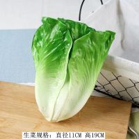 假蔬菜 仿真蔬菜模型 白菜装饰道具生菜模型橱窗装饰幼儿早教玩具 生菜