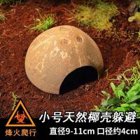 宠物躲避窝合集 寄居蟹仓鼠树脂洞穴 天然椰子壳带绳梯 陶瓷卡通 小椰壳 买2送1备损
