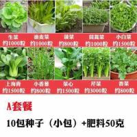 菜籽种大全春夏秋冬四季播阳台盆栽小白菜葱生菜蔬菜种孑种子种籽 (小)10包+肥料50克