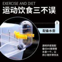 .[笑笑家]仓鼠金丝熊小宠物手提外带笼子全景透明外出盒笼子用 .[笑笑家]仓鼠金丝