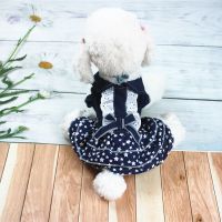 春秋季比熊宠物服饰小型犬泰迪猫咪宠物狗狗花边牛仔裙子宠物用品 蓝色星星花边裙 S