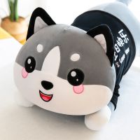 哈士奇毛绒玩具公仔狗狗熊布娃娃玩偶睡觉抱枕男女生日礼物女 生日快乐 45厘米