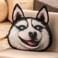 可爱哈士奇二哈抱枕靠枕靠背垫护腰靠垫枕头沙发床头办公室大靠背 蔑视 小号38*30厘米(普通)