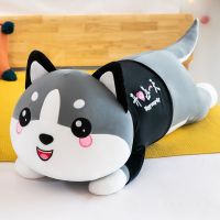 趴趴狗抱枕毛绒玩具狗狗公仔大号睡觉长条抱枕头可爱布娃娃男女生 哈士奇-开心每一天 45厘米(款)