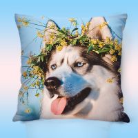 抱枕沙发靠垫可爱卡通靠背垫小猫小狗靠枕汽车腰枕床头飘窗靠枕。 1 35X35CM厘米(迷你)