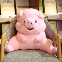 抱枕被子两用床头靠垫靠背垫办公室沙发椅子座椅靠枕女生暖手可爱 粉色猪(单独腰靠) 小号48x38x23厘米无毯子无暖手