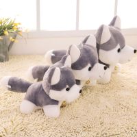 哈士奇公仔二哈毛绒玩具小狗抱枕布娃娃儿童玩偶生日礼物情人节 浅灰色 长25厘米单个一只