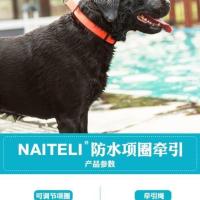 狗狗项圈防水宠物用品猫狗圈颈圈脖圈中型犬金毛边牧脖围脖套头套 蓝色 项圈 S-小型