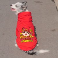 春季装牛新年大小型狗狗金毛带帽衣服萨摩哈士奇拉布拉多阿拉斯加 财源滚滚红色 M(建议5-8斤宠物)