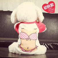 宠物狗狗衣服猫咪泰迪秋冬柯基小狗比熊小型犬法斗冬装冬季衣服 粉色比基尼(初秋款) XS(建议1-3斤)