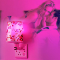 浪漫夫妻情趣调情灯led带遥控开关插电卧室床头少女粉色睡眠小灯 手动开关款[浪漫粉]