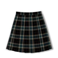 JK制服原创梯形伞状全一套装正版百褶裙格裙子水手服假一赔十 青木源格裙+领结+飞机盒 XS(建议腰围53-60cm)