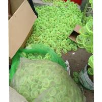 蝈蝈批发 叫蝈蝈 蛐蛐 朱玲 宠物 鸣虫 量大优惠 一个全品特价