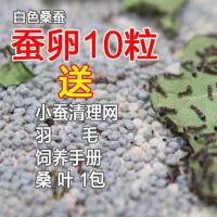 蚕宝宝卵蚕籽蚕卵蚕蛋婵宝宝蛋天然彩蚕子春蚕学生养殖科学课作业 蚕卵10粒+送孵化盒清理网羽毛桑叶