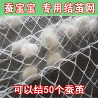 蚕宝宝结茧网蚕上山蚕吐丝结茧用网结茧上簇养蚕宝宝结茧网 结茧网(20x40cm)3片