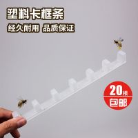 成品巢框带巢础框10片装杉木巢框巢基全套中蜂巢脾蜜蜂箱养蜂工具 中蜂成品巢框卡条(20条装)